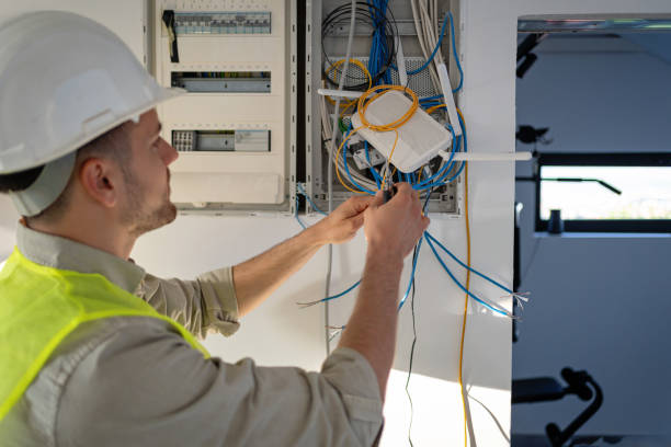 Best Electric Panel Repair  in Birch Bay, WA